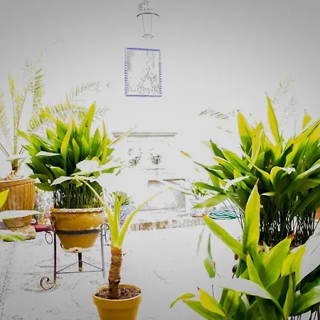 Residencia Jardines Lejlighed *
