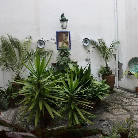Residencia Jardines Apartment